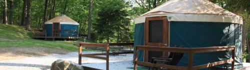 Two blue and tan yurts nestled in a green forest, each with wooden decks and surrounded by trees.