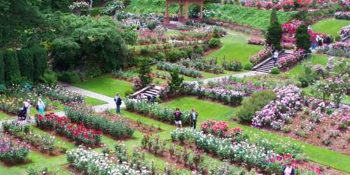 A vibrant garden filled with colorful flowers, pathways, and visitors enjoying the scenic landscape.