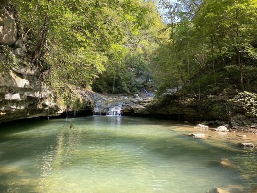 A serene natural scene featuring a clear pool of water surrounded by lush greenery and a small waterfall.