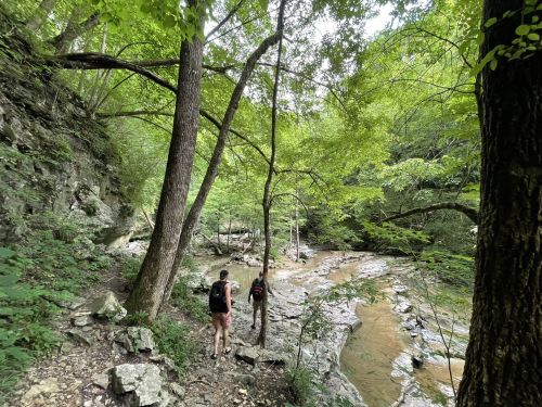 Two hikers walking along a rocky path beside a creek, surrounded by lush green trees and foliage.