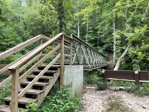 A wooden bridge with stairs leads into a lush green forest, surrounded by trees and a bench nearby.