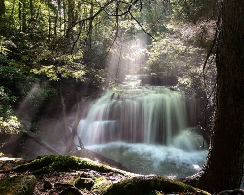 A serene waterfall surrounded by lush greenery, with sunlight streaming through the trees, creating a tranquil atmosphere.