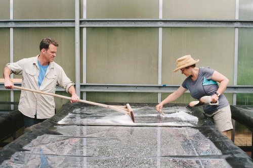 Two people working together in a greenhouse, one spreading soil and the other adding a substance to a planting bed.