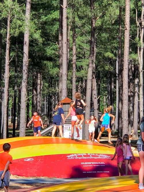 Children and adults jumping on a large inflatable bounce pad surrounded by tall trees in a park setting.