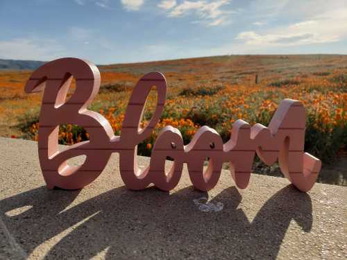 A wooden sign spelling "Bloom" in a pink hue, set against a vibrant field of orange flowers and a blue sky.