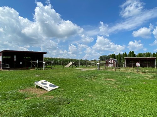 A grassy area with two buildings, a cornfield in the background, and a blue sky with fluffy clouds.