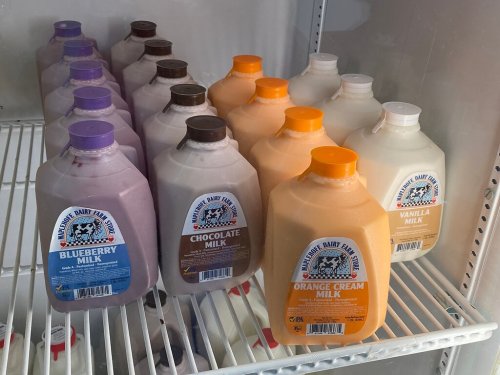A refrigerator shelf filled with various flavored milk jugs, including blueberry, chocolate, orange cream, and vanilla.
