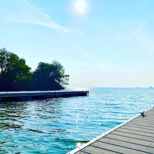 A serene waterfront scene with a wooden dock extending into calm water, surrounded by greenery and a bright sky.