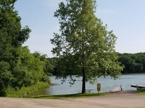 A serene lakeside scene with a large tree, green foliage, and a wooden dock under a clear blue sky.