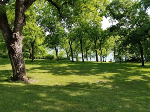 A serene park scene with lush green grass and trees, overlooking a calm lake in the background.