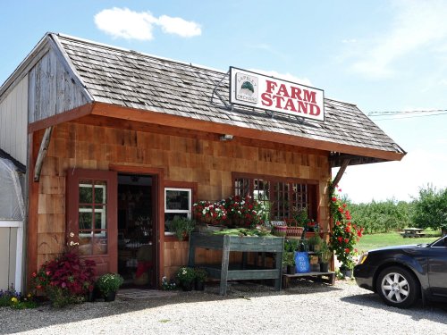 A charming farm stand with wooden exterior, flowers, and a sign, set against a clear blue sky.