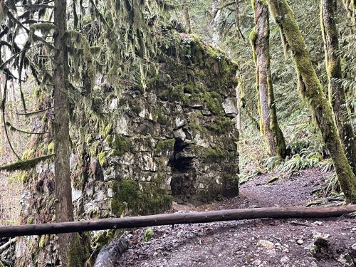 A moss-covered stone structure surrounded by lush green trees in a forested area.