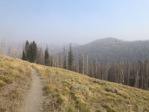 A winding dirt path leads through a grassy area with sparse trees and a misty mountain backdrop.