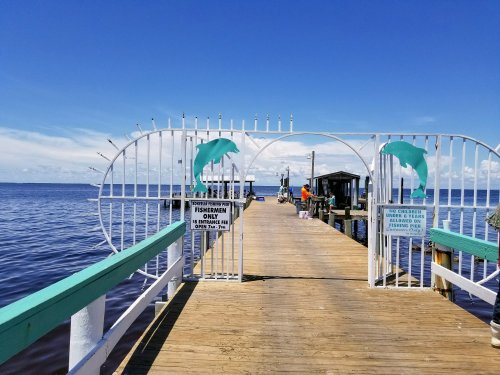 A wooden pier with a white gate featuring dolphin designs, leading to a calm waterway under a clear blue sky.