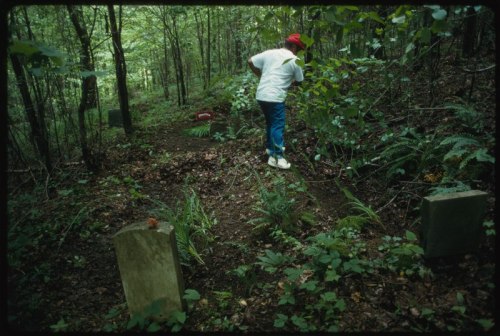 A person in a red cap tends to a wooded area with gravestones, surrounded by ferns and greenery.