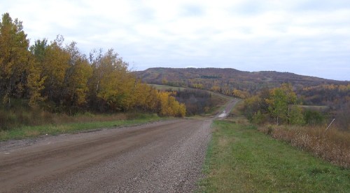 A gravel road winds through a landscape of autumn trees with yellow leaves, leading to rolling hills under a cloudy sky.