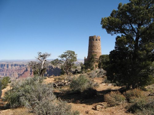A stone tower stands on a rocky outcrop, surrounded by trees, with the Grand Canyon visible in the background under a clear sky.