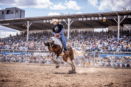 A cowboy rides a bucking horse at a rodeo event, with a large crowd watching in the background.