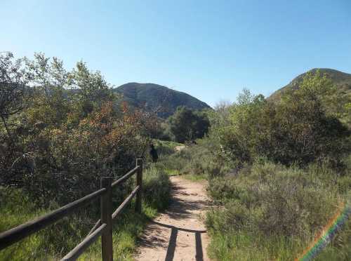 A dirt path winds through green shrubs and trees, leading towards distant hills under a clear blue sky.