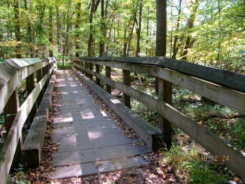 A wooden bridge spans a forest path, surrounded by trees with autumn foliage and scattered leaves on the ground.