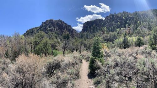A dirt path winds through a rocky landscape with green trees and shrubs under a bright blue sky with fluffy clouds.