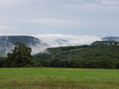 A lush green landscape with rolling hills and fog drifting through the valleys under a cloudy sky.