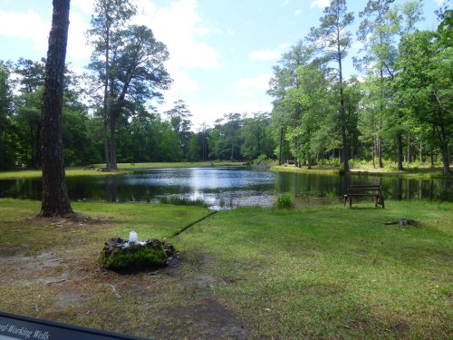 A serene pond surrounded by lush green trees under a bright blue sky, with a small fountain in the foreground.