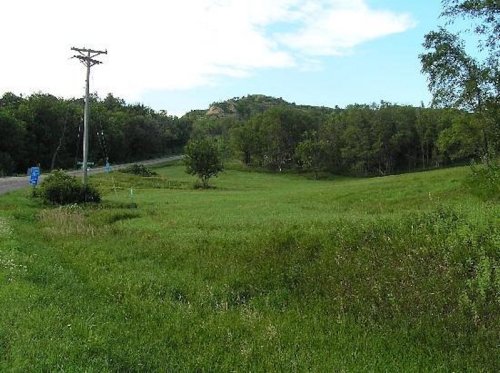 A scenic view of a grassy field with trees, a power line, and a distant hill under a blue sky.