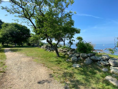 A scenic pathway lined with trees and rocks, leading to a calm waterfront under a clear blue sky.