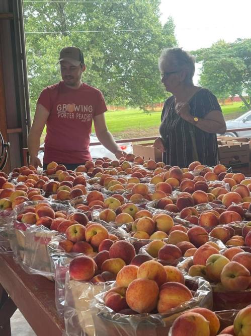 A man and a woman discuss apples at a market, surrounded by baskets of fresh peaches and apples.