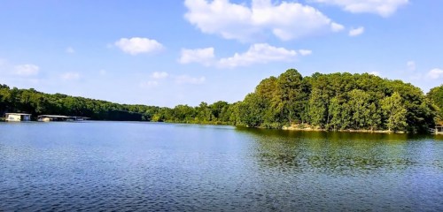 A serene lake surrounded by lush green trees under a clear blue sky with fluffy white clouds.