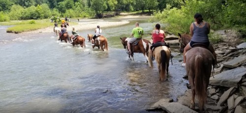 A group of people on horseback crossing a shallow river surrounded by greenery.