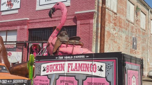 A large pink flamingo statue with a saddle, displayed on a colorful truck outside a building with a pink facade.