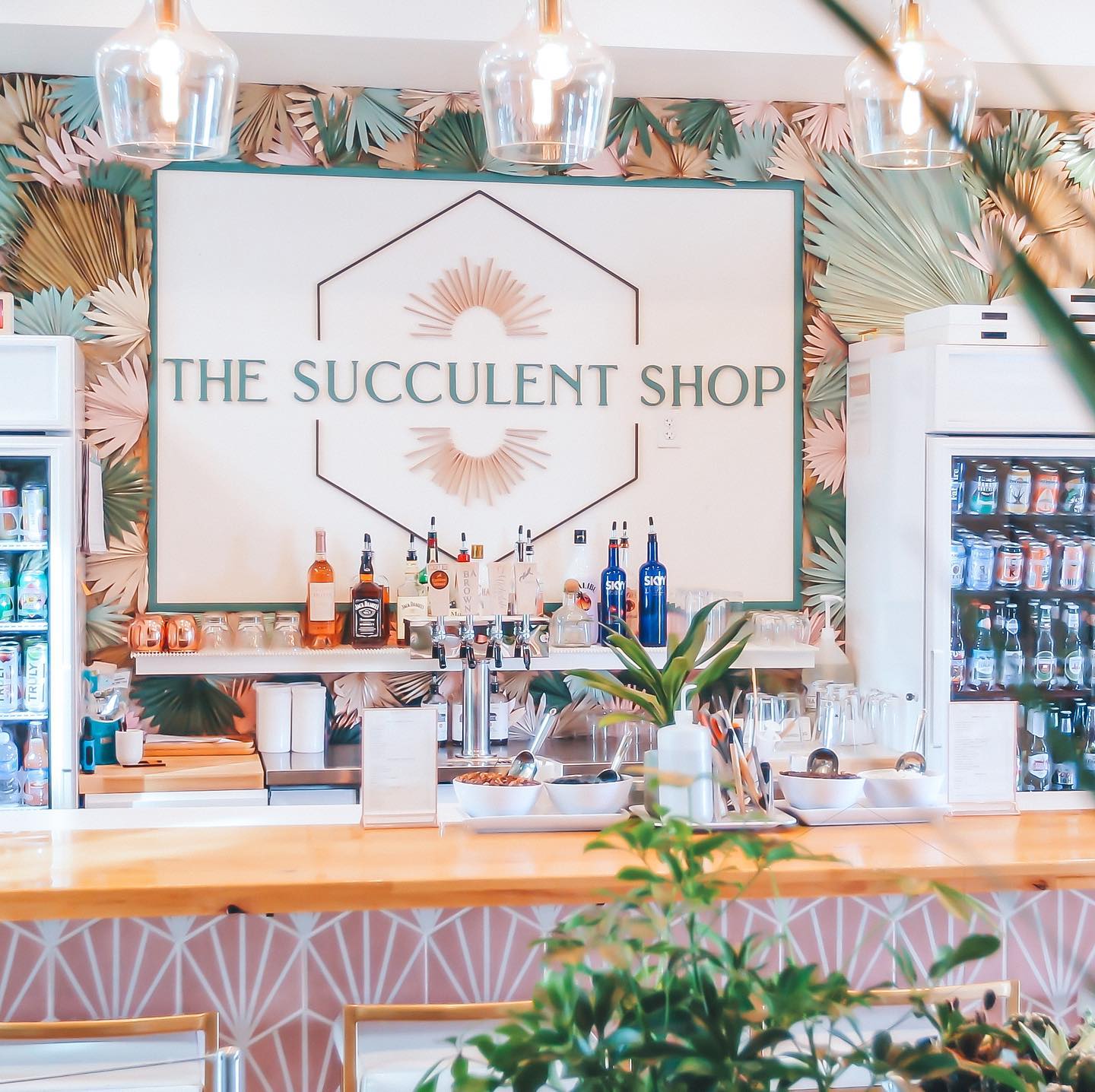 Discover The Succulent Shop in Broken Arrow