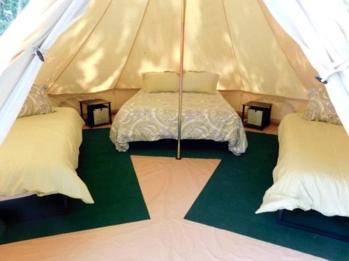 Cozy glamping tent with three beds, decorative pillows, and green carpet flooring.