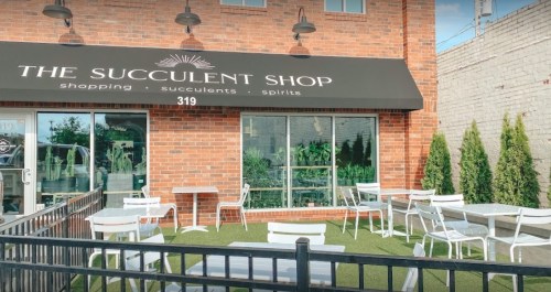 Exterior of The Succulent Shop featuring a brick building, outdoor seating, and a green lawn area.