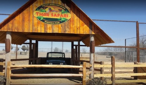 A wooden entrance to Tiger Safari, featuring a sign and a parked jeep under a roofed structure.