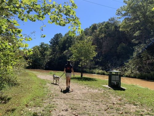 A person walks a dog along a path by a river, surrounded by trees and greenery on a sunny day.