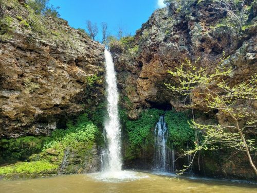 A serene waterfall cascading down rocky cliffs, surrounded by lush greenery and a calm pool of water below.