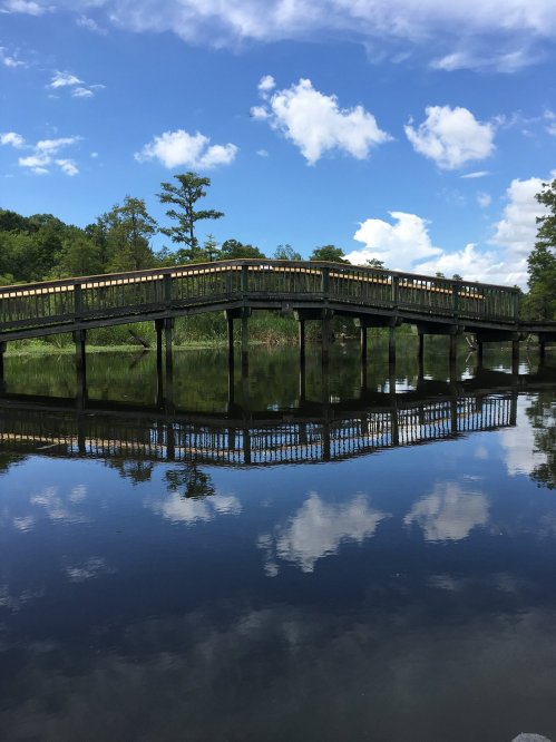 A wooden bridge spans a calm river, reflecting blue skies and fluffy clouds in the water below.