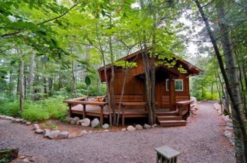A cozy wooden cabin surrounded by lush greenery and a gravel path in a serene forest setting.