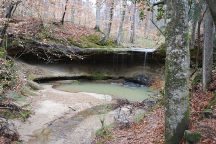 A serene forest scene featuring a small waterfall cascading into a calm pool, surrounded by autumn foliage and rocks.