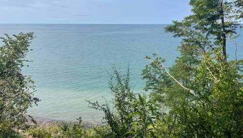 A serene view of calm waters meeting the shoreline, framed by lush green foliage and trees.