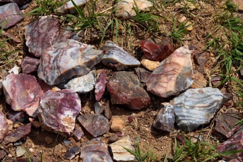 A variety of colorful, polished stones scattered on the ground among patches of grass.