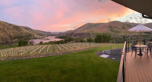 A scenic view of a vineyard by a river, with rolling hills and a colorful sunset in the background.