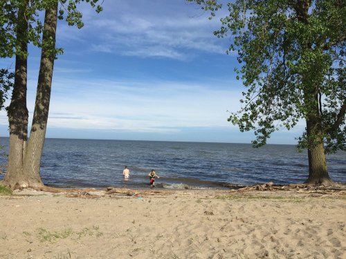 Two children play at the water's edge on a sandy beach, framed by trees under a clear blue sky.