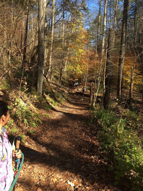 A winding forest trail with autumn foliage, featuring a person holding hiking poles in the foreground.