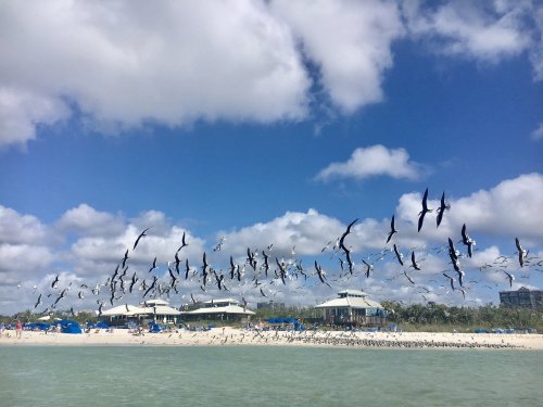 A flock of birds flies over a beach with white sand and blue umbrellas under a partly cloudy sky.