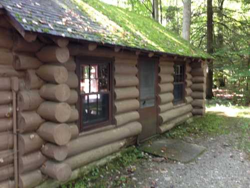 A rustic log cabin with a moss-covered roof, surrounded by trees and greenery.