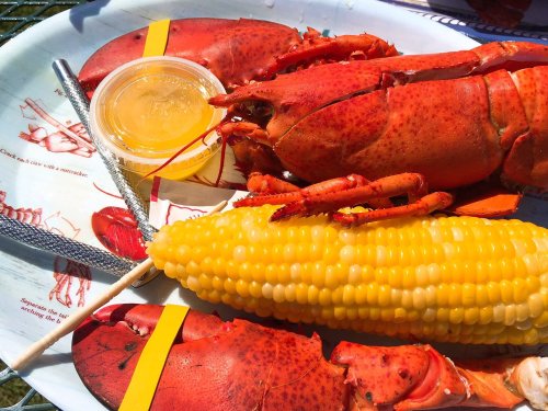A plate with a cooked lobster, corn on the cob, and a small container of butter sauce.